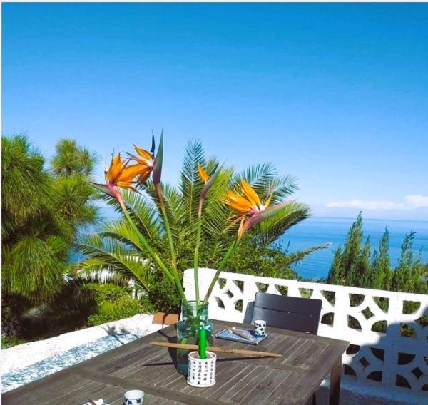 Zenrepublic, Your Private Villa With Outdoor Jacuzzi & Pool With Stunning Ocean Views Puntillo Del Sol Екстериор снимка